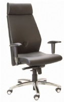 Premium - Vector - Presidente